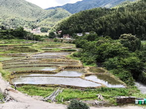 聚裕原生态避暑农家乐山庄 南昌近郊的清凉桃源，尽享包吃住的悠然假期