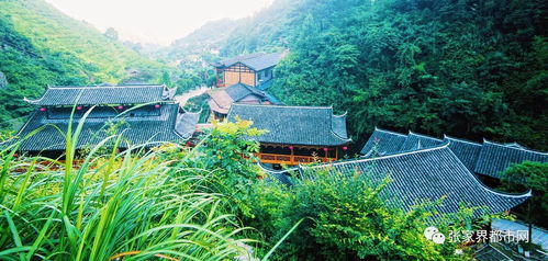 张家界五处农庄获国家农业部推荐，山水间藏着你的梦里老家